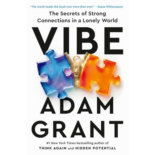 Vibe book cover
