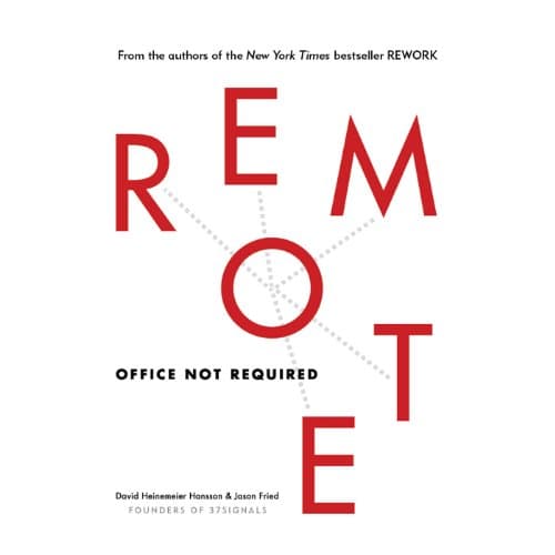 Remote book cover